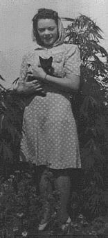 AUTHOR.JPG - 12kb - Alice Miller with her cat Amos