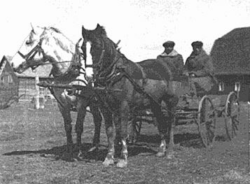 William MacDonald & Norman McKague with their sheepskin coats, Queen & Ronnie with their spring mud cuts
