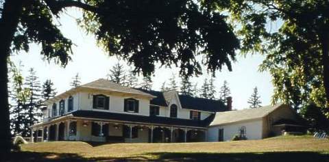 Douglas homestead farm near Warkworth.