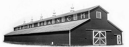 SHAW.JPG - 25kb - b&w picture of 50x200 foot barn showing SHAW'S RANCH